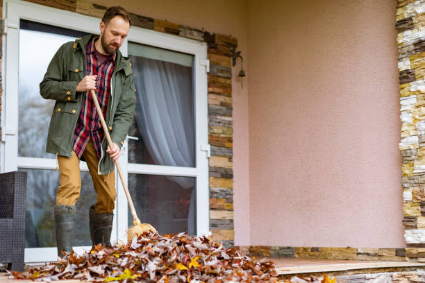Best Electronics Removal Services  in Hebron, IN